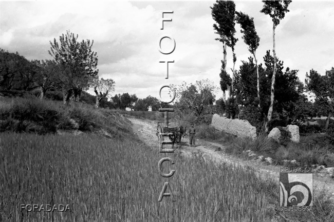 Hombre con carro en un camino. Alfonso Foradada Coll. Santalecina