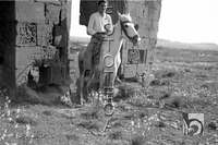Joven a caballo en el monte Larroya. Alfonso Foradada Coll. Santalecina