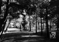 "Parque. El pinar". Ricardo Compairé Escartín. Huesca