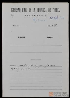 miniatura documento adjunto