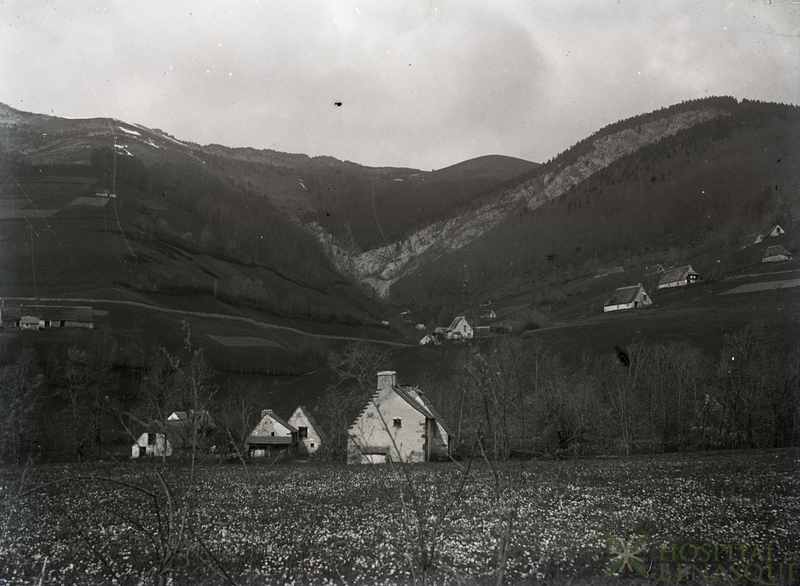 Paisaje rural de los Pirineos