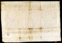 Privilegio de Pedro II por el que declara francos e inmunes a los vecinos y habitadores de la villa de Teruel de lezda, peage, portazgo y pecha