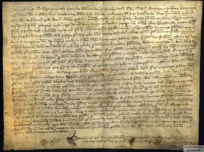 Pedro de la Cerulla, habitante de Fonz, otorga albarán de 300 sueldos a Raymundo Febrer, Antón Coldemata, Johan de San Román y Salvador del Puy, jurados de la villa de Roda, por el pago de un censal de 330 sueldos de renta anual y 3.600 de capital