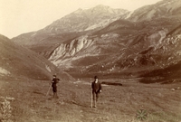 Vallée d'Ossau.