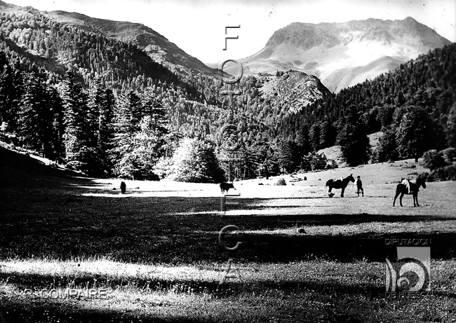 "Pradera y bosque de Oza". Ricardo Compairé Escartín. Selva de Oza