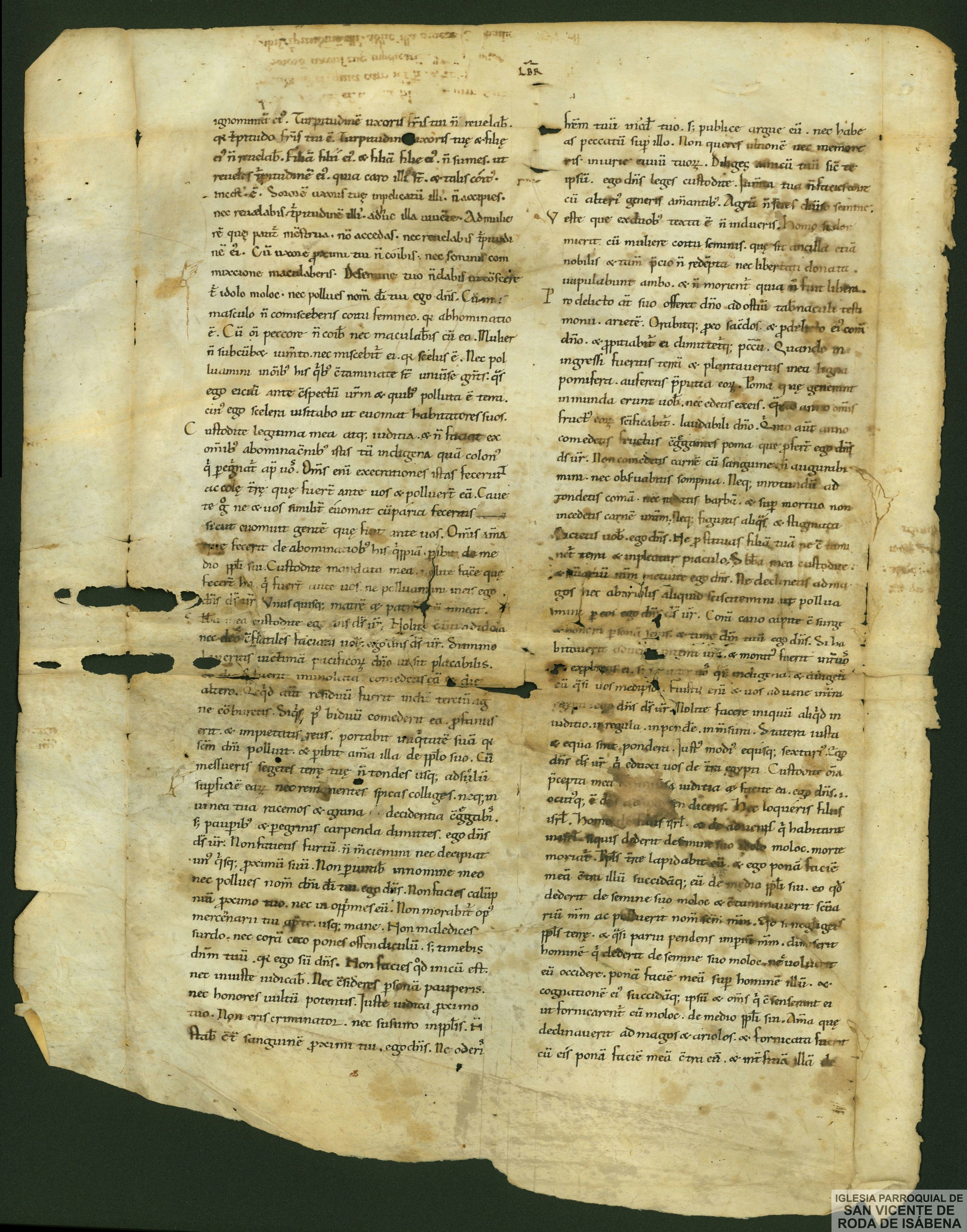 Fragmento de códice bíblico que contiene fragmento del Levítico
