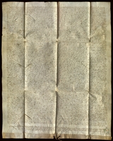 Proceso ante Juan Pérez de Caseda, lugarteniente del Justicia de Aragón, iniciado por Juan de Oto, canónigo de la catedral de Huesca, contra el concejo de Almudévar, para confirmar un censal de 125 sueldos jaqueses anuales de renta y 2.500 sueldos de propiedad, que la villa había vendido al denunciante, que acaba con una sentencia favorable al mismo