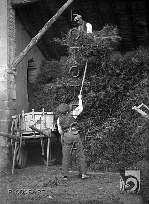 "Preparando leña para la quema" del horno. Ricardo Compairé Escartín. Huesca