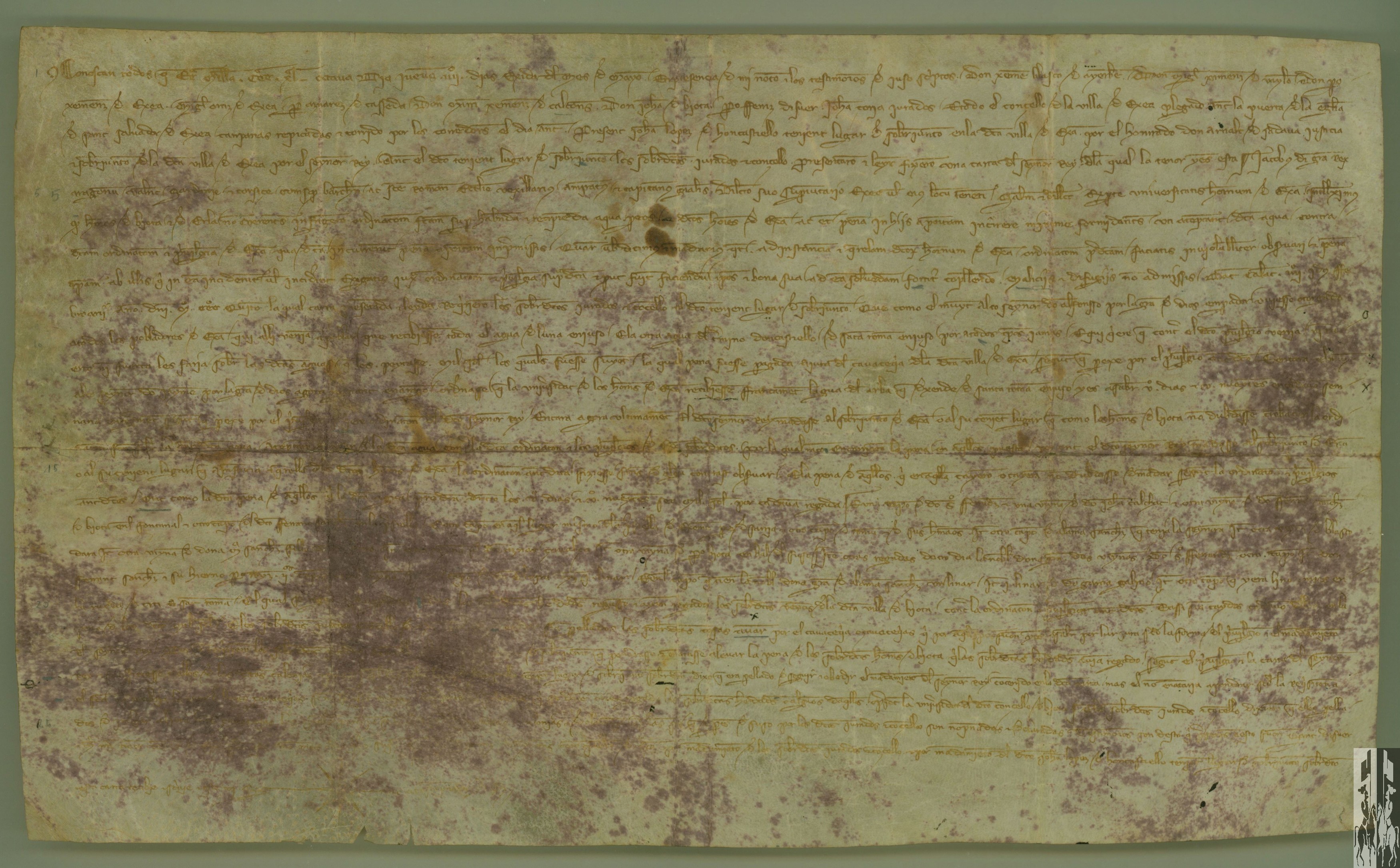 El concejo de Ejea, tras la lectura pública de una carta de Jaime II en que se ordena el cumplimiento de la concesión de Alfonso I a los vecinos de la villa del uso del agua de Luna y San Román hacia abajo, denuncia los campos que han regado infringiendo dicha norma