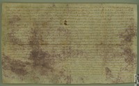 El concejo de Ejea, tras la lectura pública de una carta de Jaime II en que se ordena el cumplimiento de la concesión de Alfonso I a los vecinos de la villa del uso del agua de Luna y San Román hacia abajo, denuncia los campos que han regado infringiendo dicha norma