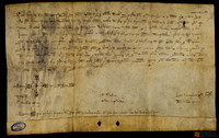 Privilegio de Pedro III por el que establece que, si el Concejo de Teruel acordara con él la redención del ejército mediante el pago de fonsadera, los caballeros turolenses sólo paguen la parte que les corresponda en el supuesto de que el rey o alguno de sus hijos comandara la hueste