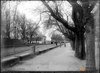 Zaragoza. Paseo del Canal. Puente. Niñas. Árboles. Grupo de gente. José Galiay Sarañana
