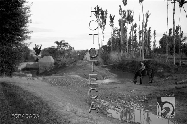 Hombre sobre un caballo que bebe en el río. Alfonso Foradada Coll. Santalecina