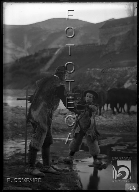 "Cuidando los bueyes". Ricardo Compairé Escartín. Hecho