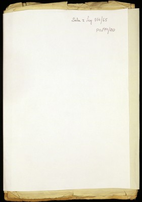 miniatura documento adjunto
