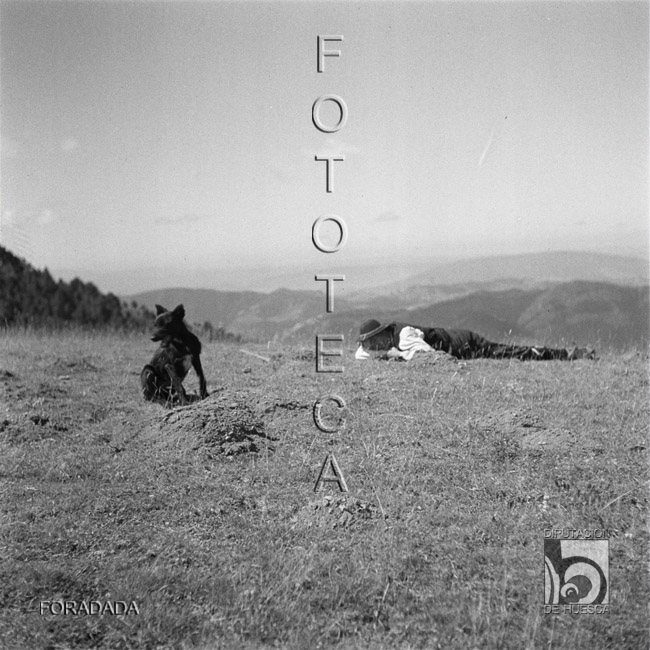 Pastor tumbado en la hierba. Alfonso Foradada Coll. Valle de Ansó