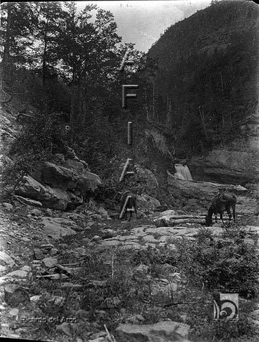 Valle de Ordesa. Caballos. Ricardo del Arco y Garay. Parque Nacional de Ordesa y Monte Perdido. Torla. Sobrarbe