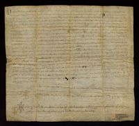 Pedro IV, rey de Aragón, ordena que se permita recaudar el herbaje y carnaje de los ganados en Valencia a los recaudadores reales