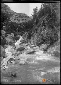 Paisaje con río y árboles. Juan Mora Insa