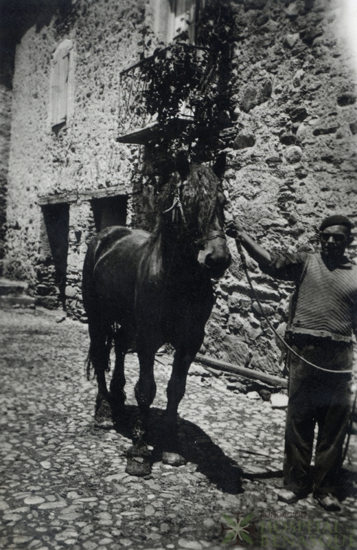 Hombre sujetando una mula en el patio de casa Agustina