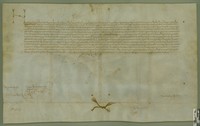 Fernando II el Católico, rey de Aragón, confirma todos los privilegios concedidos a la villa de Ejea