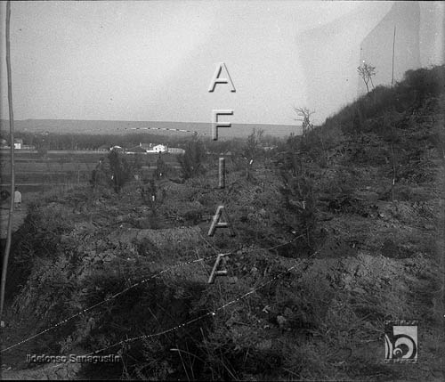 Arbolitos plantados el día del árbol en el cerro de San Jorge. Ildefonso San Agustín. Huesca
