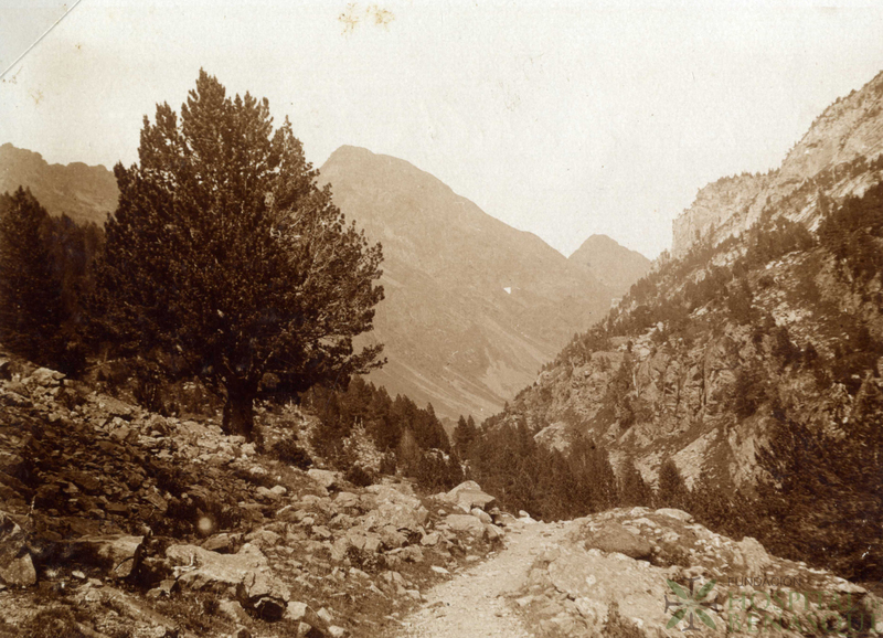 Camino de Benasque a Francia, cerca del Hospital.