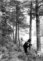 "Leñador en el bosque". Ricardo Compairé Escartín. Valle de Ansó