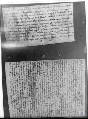 Sancha y Toda, hijas de García de Sangarrén, dan a Sancha, hija de Toda y sobrina de Sancha, y a su esposo Domingo Navarro, un huerto en Sangarrén