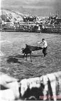 Toreando una vaquilla en las fiestas de 1933