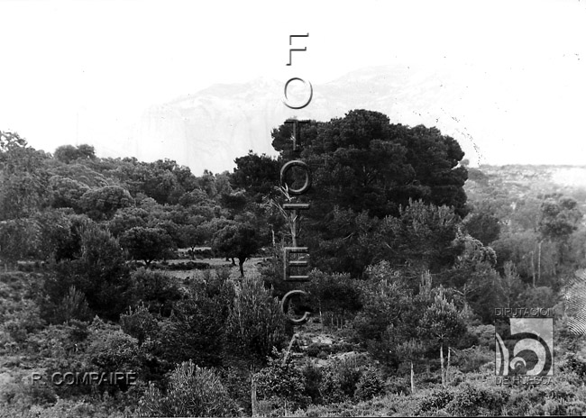 "Mallos de Riglos. De cerca". Ricardo Compairé Escartín. Riglos