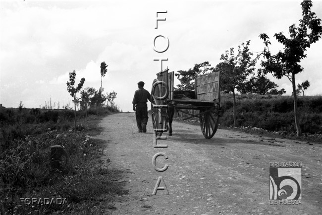 Hombre con carro en un camino. Alfonso Foradada Coll. Santalecina