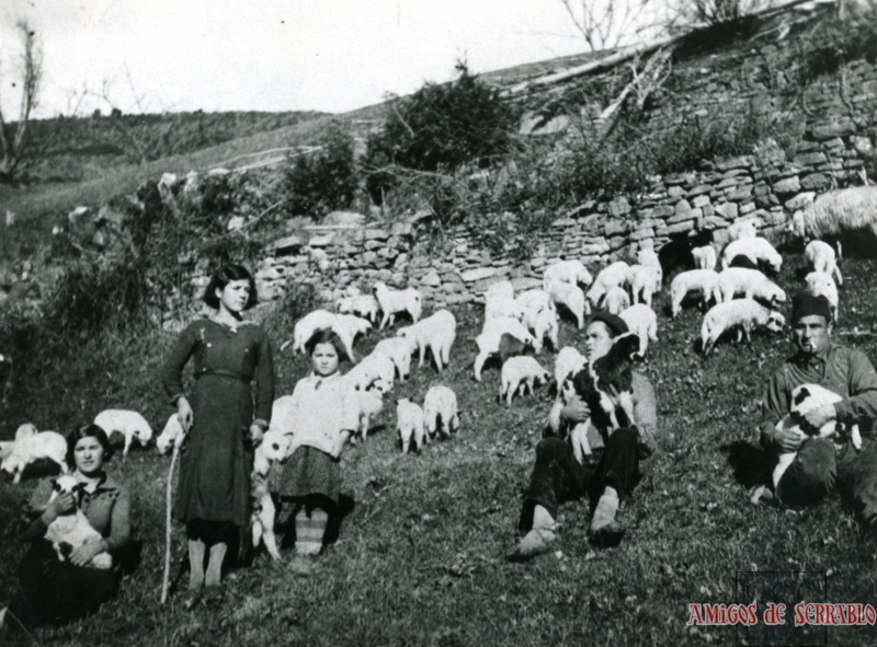 Ganadería en Fanlillo durante la Guerra Civil